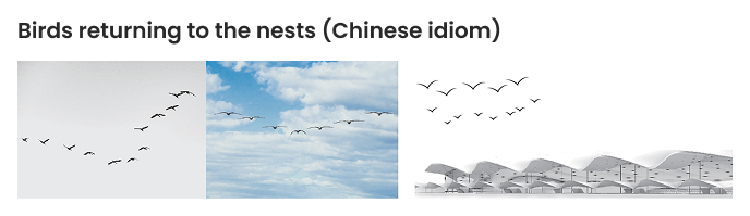 Birds returning to the nests concept reference showing bird flight patterns and roof form.