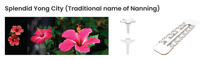 Splendid Yong City concept reference showing the hibiscus flower and traditional Nanning identity.