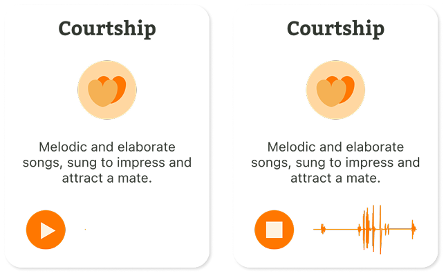 Interaction pattern examples showing hover states and audio play affordances.