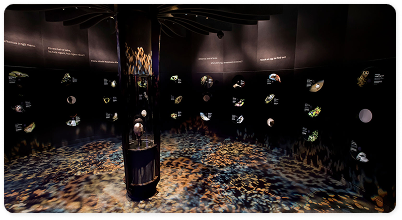 Te Papa Museum digital interactive exhibit.