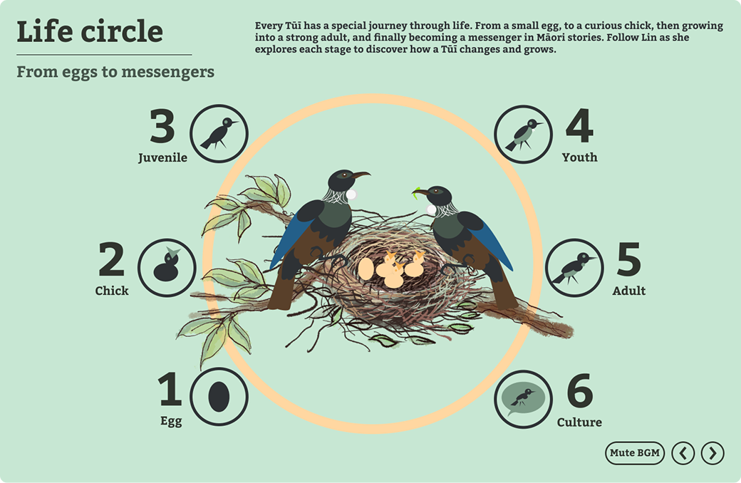 Life Circle stage selection screen showing lifecycle stages from Egg to Culture.