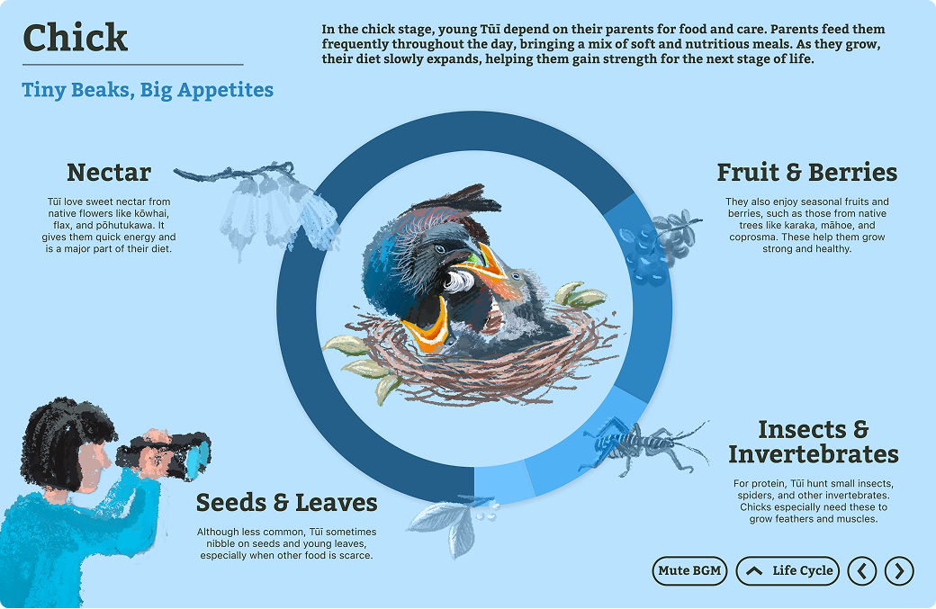 Chick stage showing diet proportion data and feeding scene.
