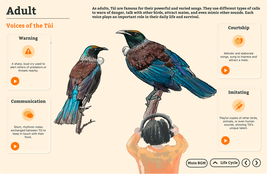 Adult stage showing bird call types with sound wave visualisation.