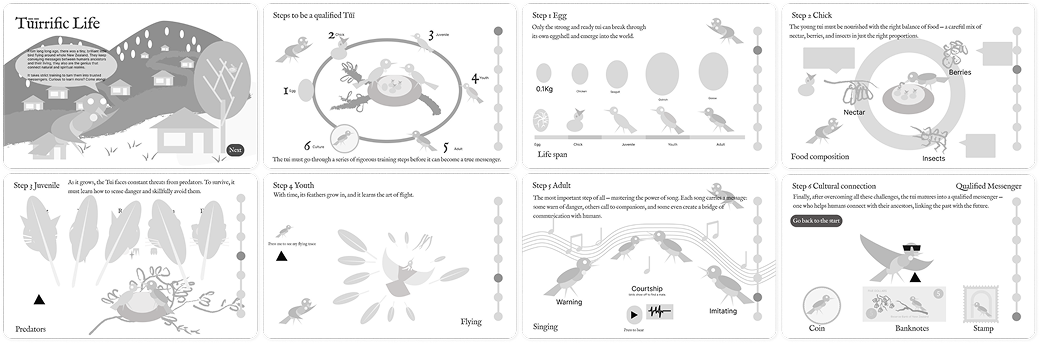Lo-fi prototype 2 — Tūī perspective with timeline-style lifecycle stages.